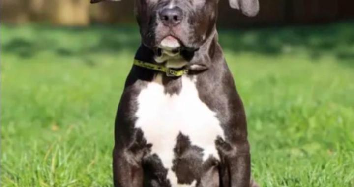 Learning to be yourself