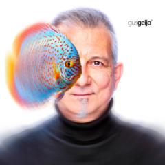 Manuel Sanchis nuñez