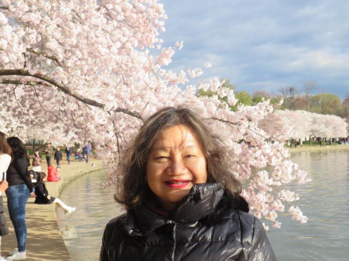 Tingmei Jin