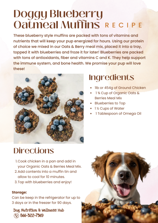 Doggy Blueberry Oatmeal Muffins 🫐 🫐