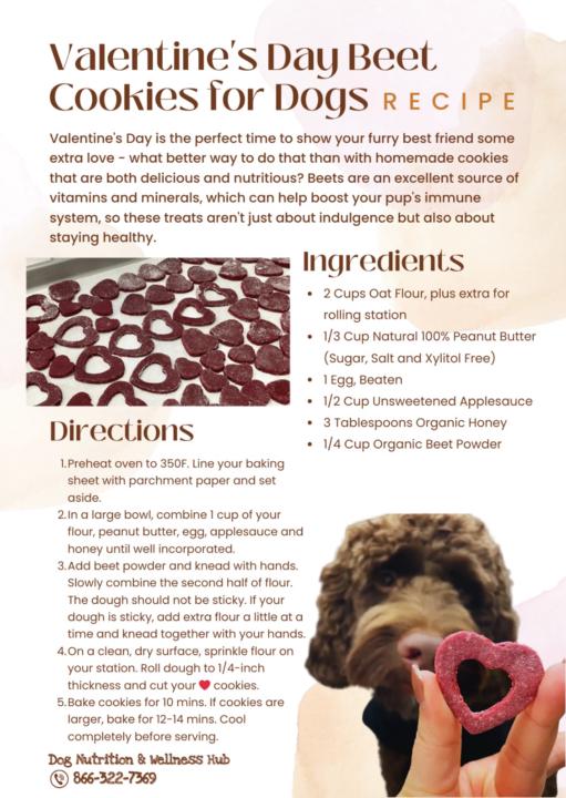 Valentine's Day Beet Cookies for Dogs 💝