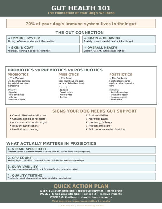 Your Dog's Allergies Aren't a Skin Problem—They're a GUT Problem (And Here's the Fix)😱
