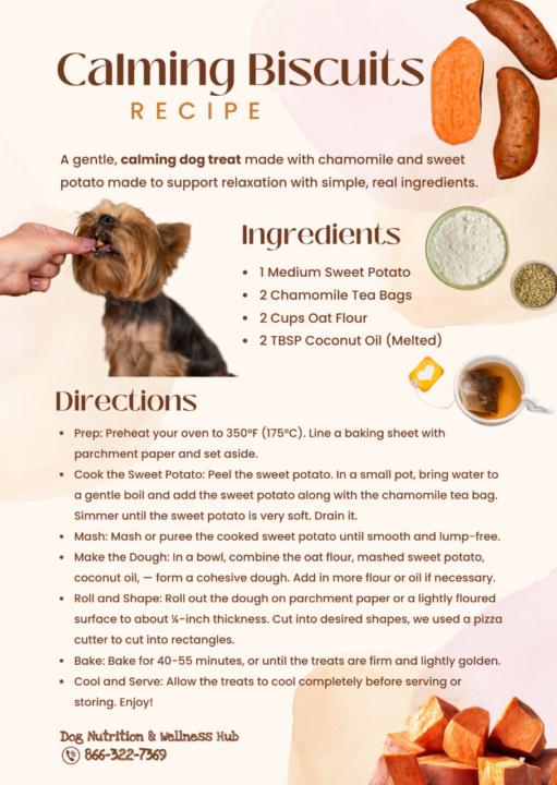 Calming Biscuits...Watermelon slushy!