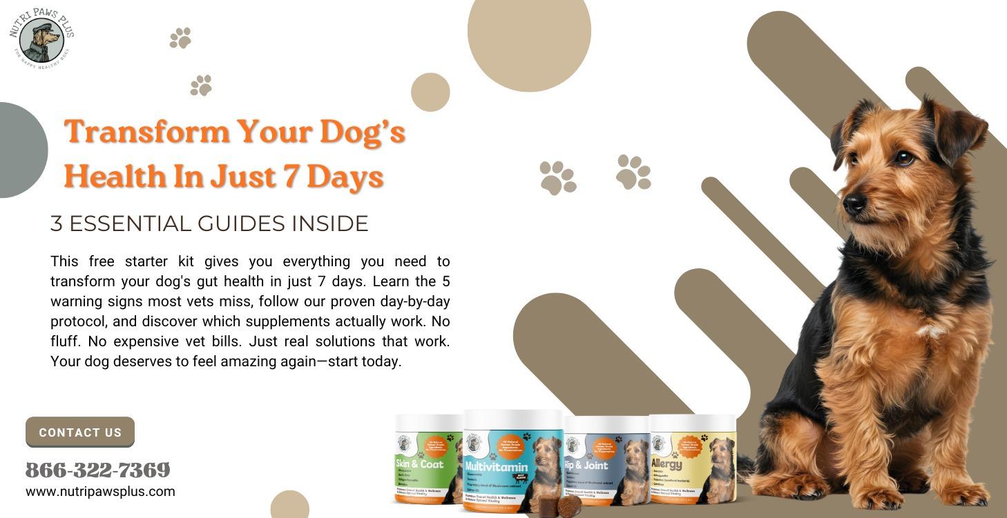 Transform Your Dog's Health In Just 7 Days