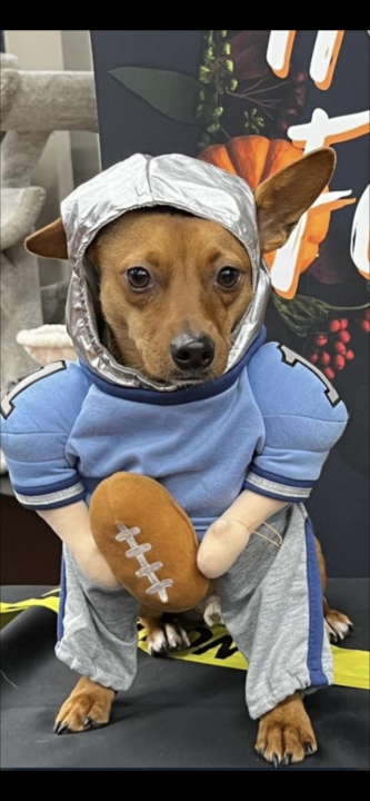 Funny Dog Contest Winners!!