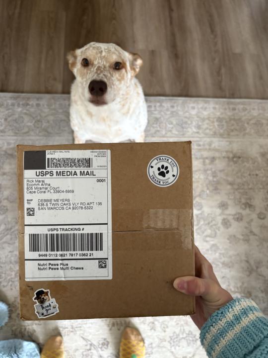 Biscuit says “Thank You”