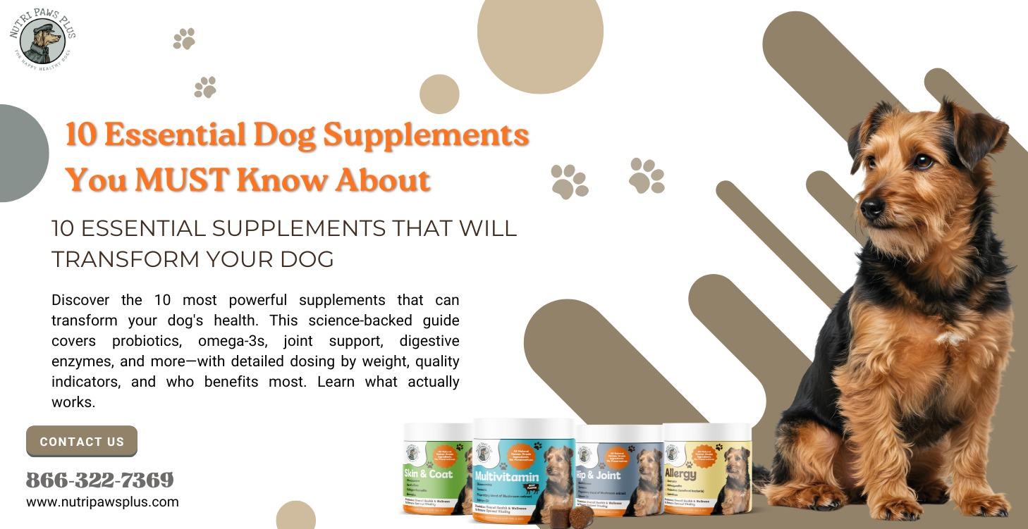 10 Essential Supplements You need To Know About!