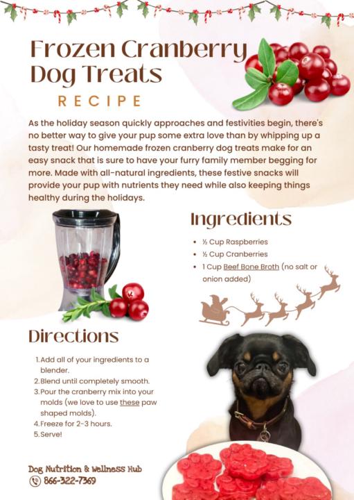 Frozen Cranberry Treats!