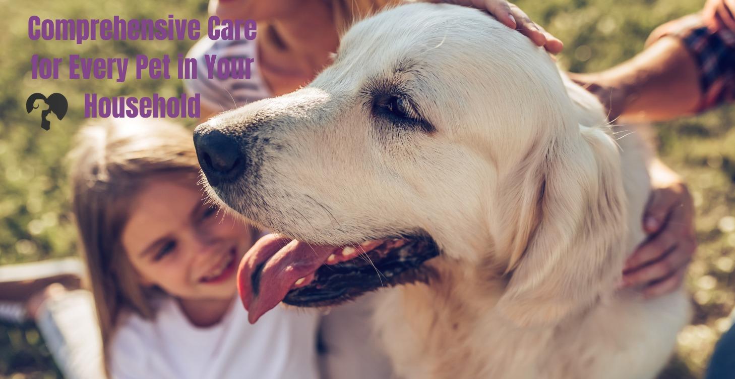 My Primary Pet Care Insurance