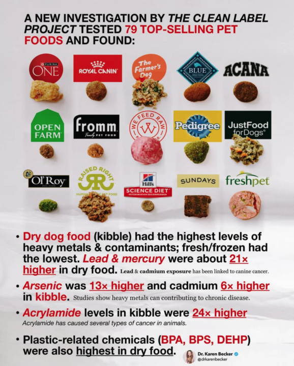Extremely High Levels of Lead, Mercury, Arsenic, and Cadmium Found in Dry Dog Food😱