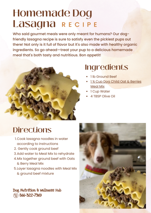 Homemade Dog Lasagna 😱