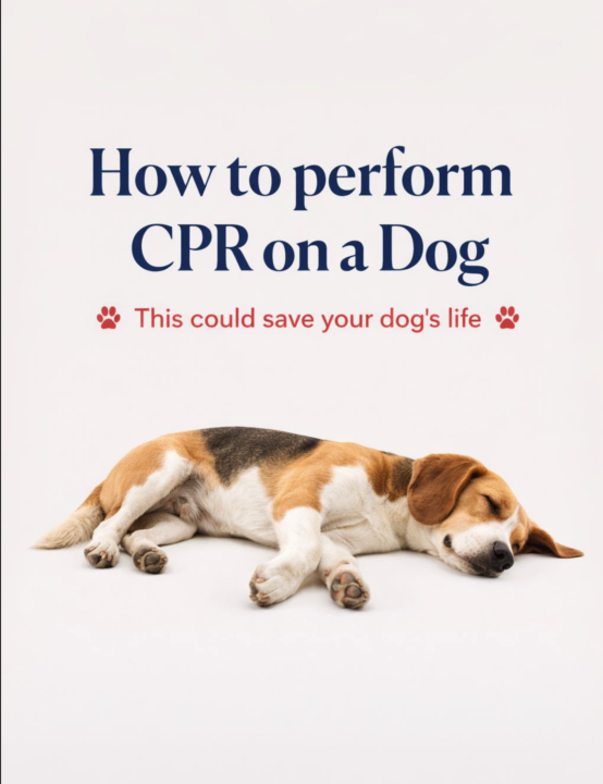 CPR For Your Dog!! We NEED to know this! 😱