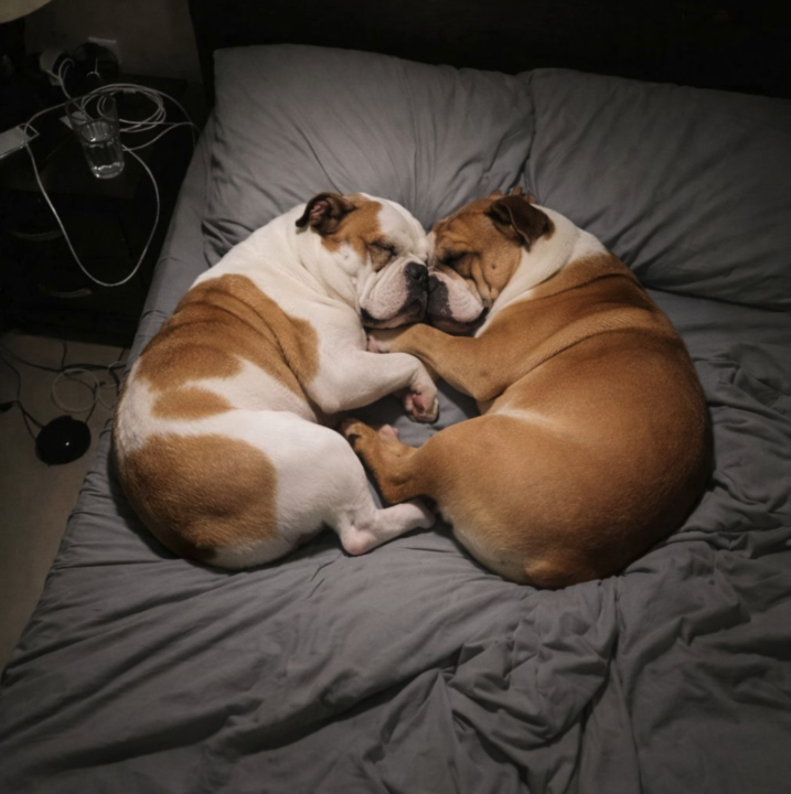 Saw this pic and it just put a smile on my face!!