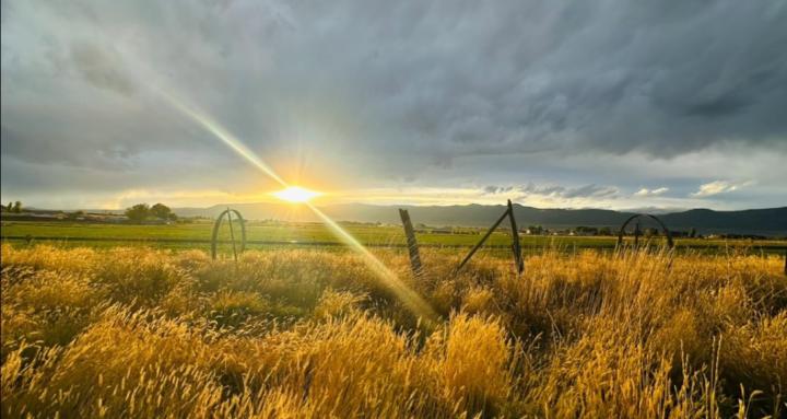 HAVEN Therapy & Wellness