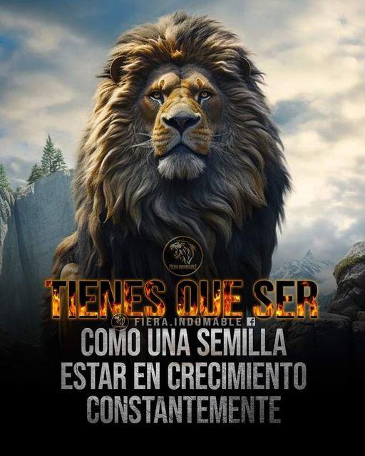 Alejandro Giraldo monroy