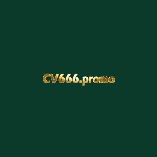 Cv Promo