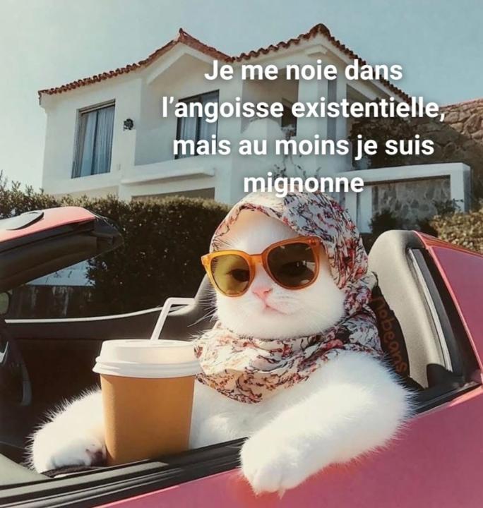 Moi Moi
