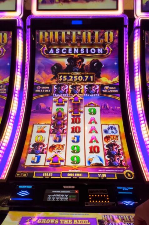 Slot Academy