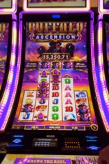 Slot Academy