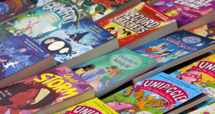 Team Butterfly Usborne Hub