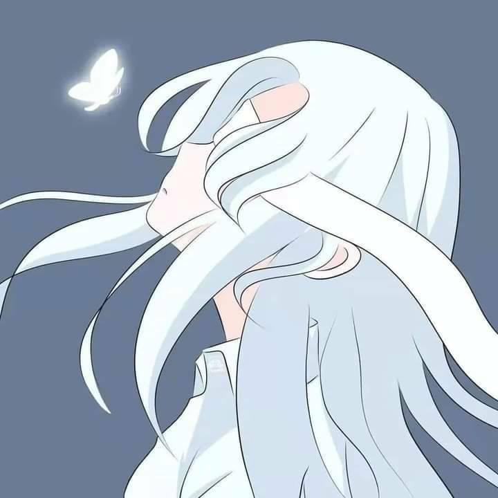 愷苗 洪