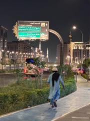 عبدالله الشنقيطي