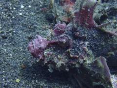 Eliana Lynne Uretsky