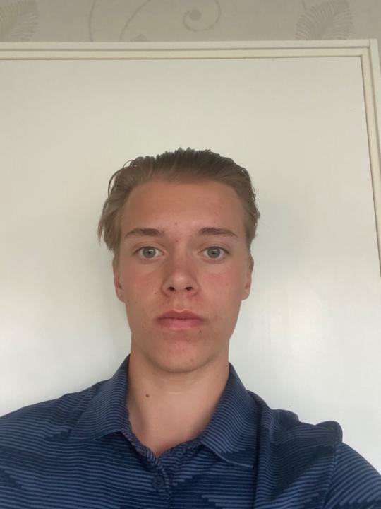Albin Lindblom