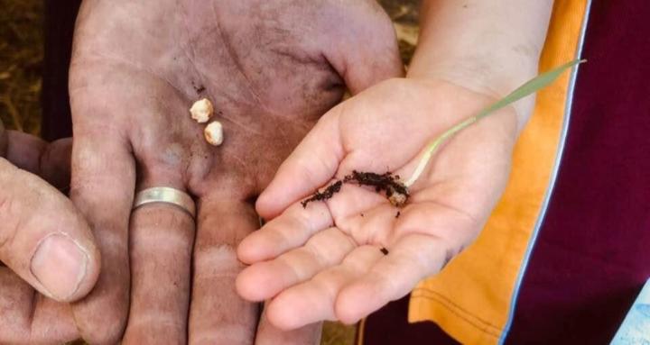 Lessons in Regenerating Cities