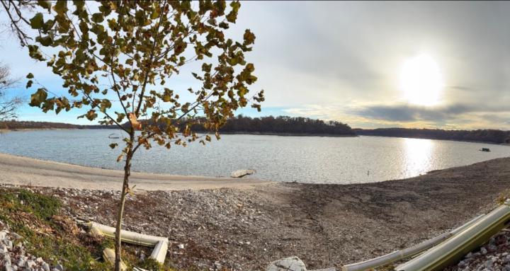 Narcissist Survivor Group