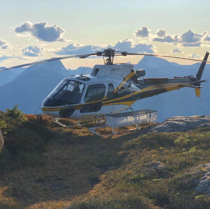 Sunday Rotor roundup