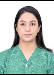 Ambreen Ibrahim