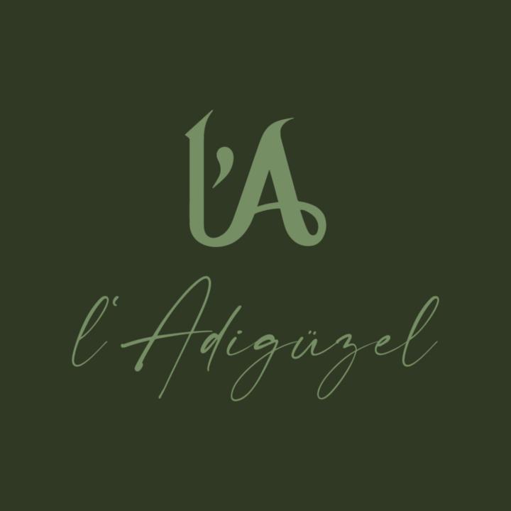 l'Adigüzel Academy