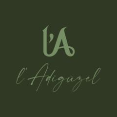 l'Adigüzel Academy