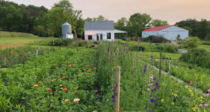 Spring Valley Farm