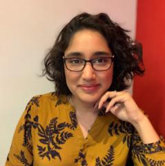 Aneesa Janering