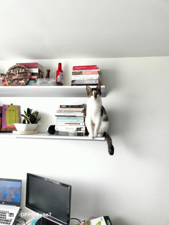 Paula Daniela Mariño Baracaldo