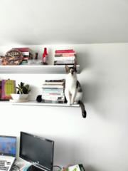 Paula Daniela Mariño Baracaldo