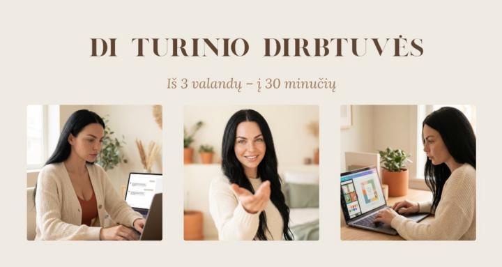 DI Turinio Dirbtuvės