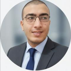 Ahmed Mohamed Zaki Laysi