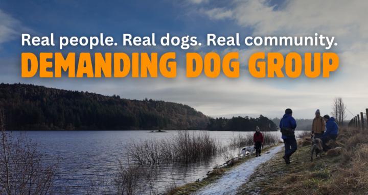 Demanding Dog Group