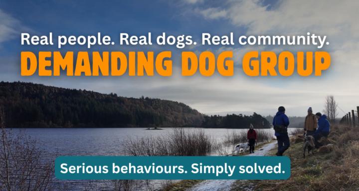 Demanding Dog Group