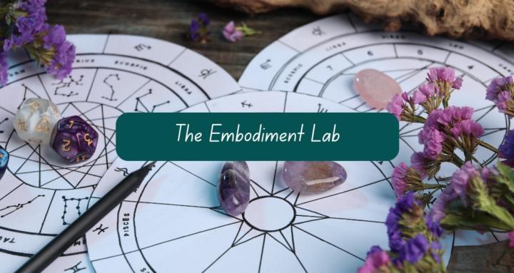 The Embodiment Lab