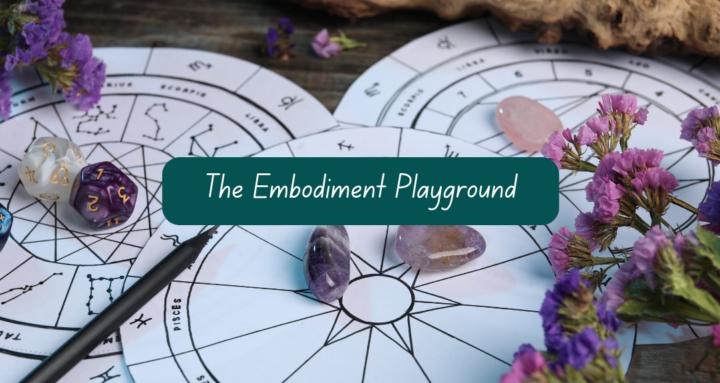 The Embodiment Playground