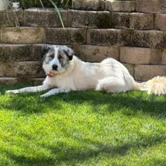 Joe and Lauri Currie