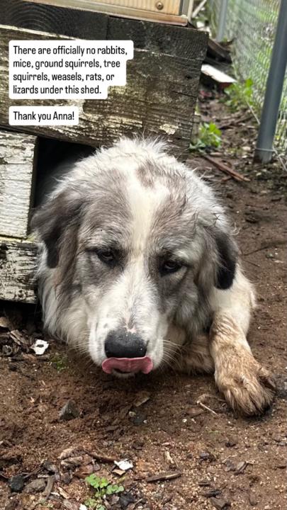 Joe and Lauri Currie