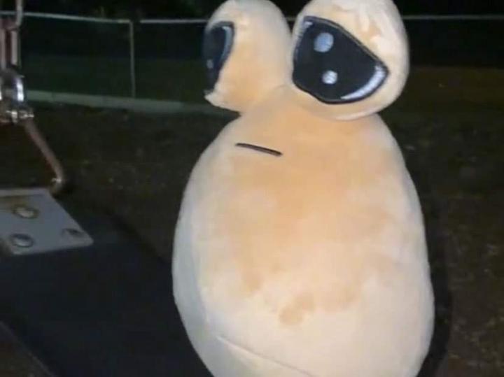 Batbayr Molor-erdene