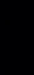 Aryan M