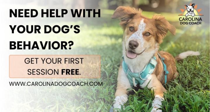 Carolina Dog Coach Community