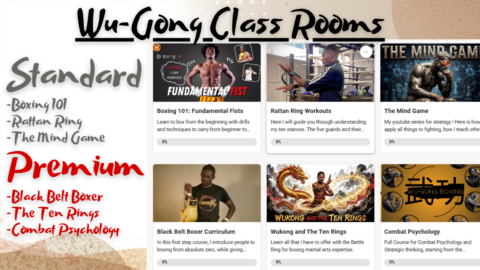 Wu-Gong Boxing gallery image